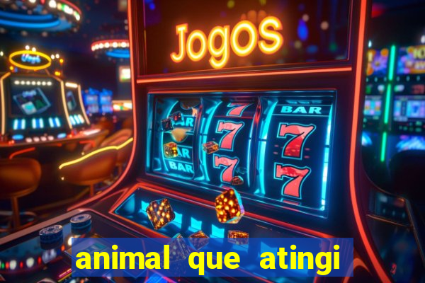 animal que atingi 230 decibeis